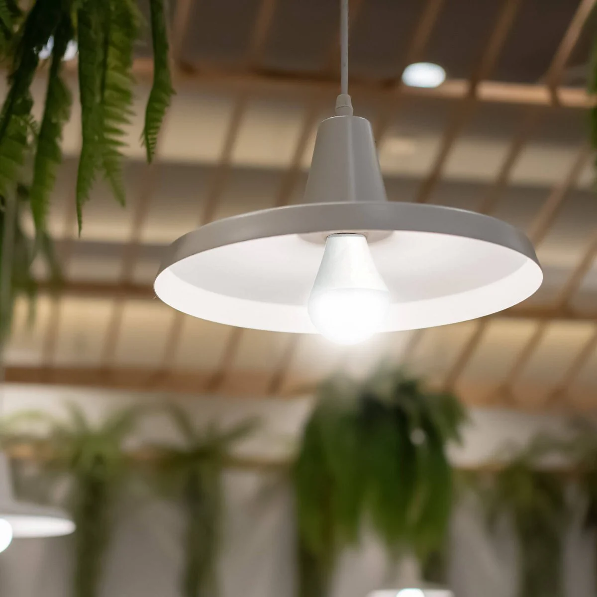 Arlec B22 LED Globe - 10W - 830lm - RGB & CCT - Smart Lighting Solution - Image 5