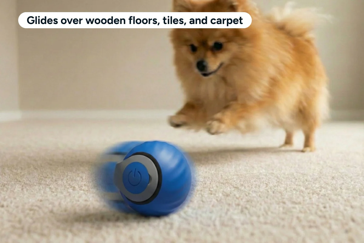 Automatic Toy Ball for Pets 2 Pack USB-C Rechargeable - Image 10