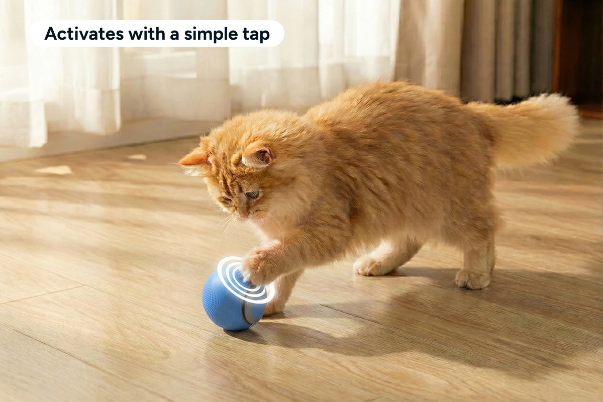 Automatic Toy Ball for Pets 2 Pack USB-C Rechargeable - Image 4