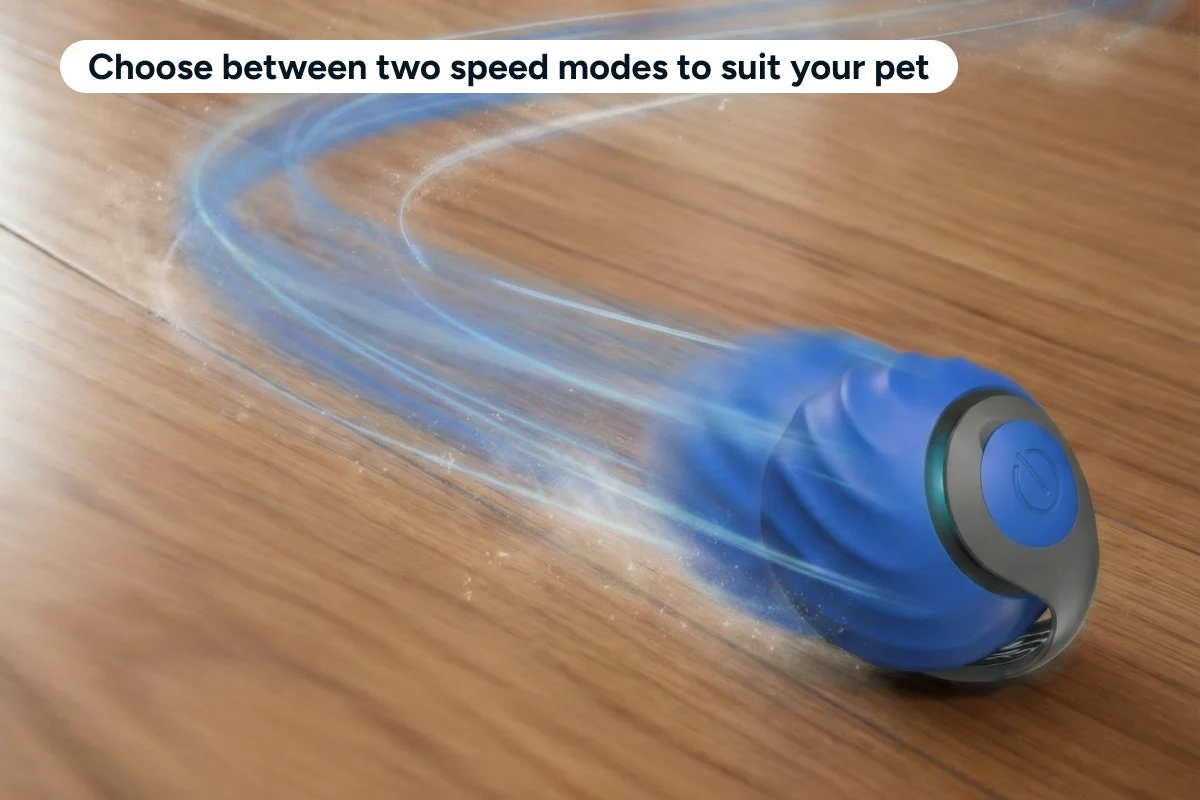 Automatic Toy Ball for Pets 2 Pack USB-C Rechargeable - Image 6
