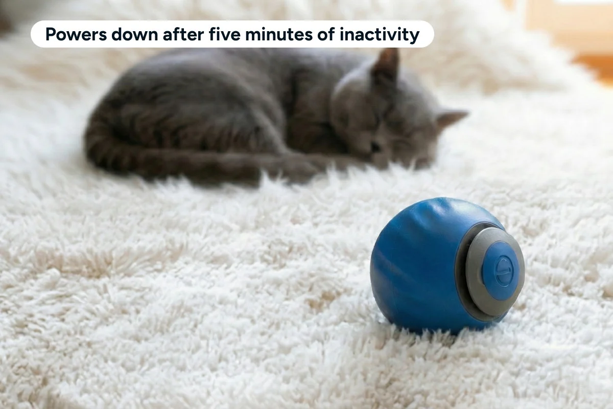 Automatic Toy Ball for Pets 2 Pack USB-C Rechargeable - Image 8