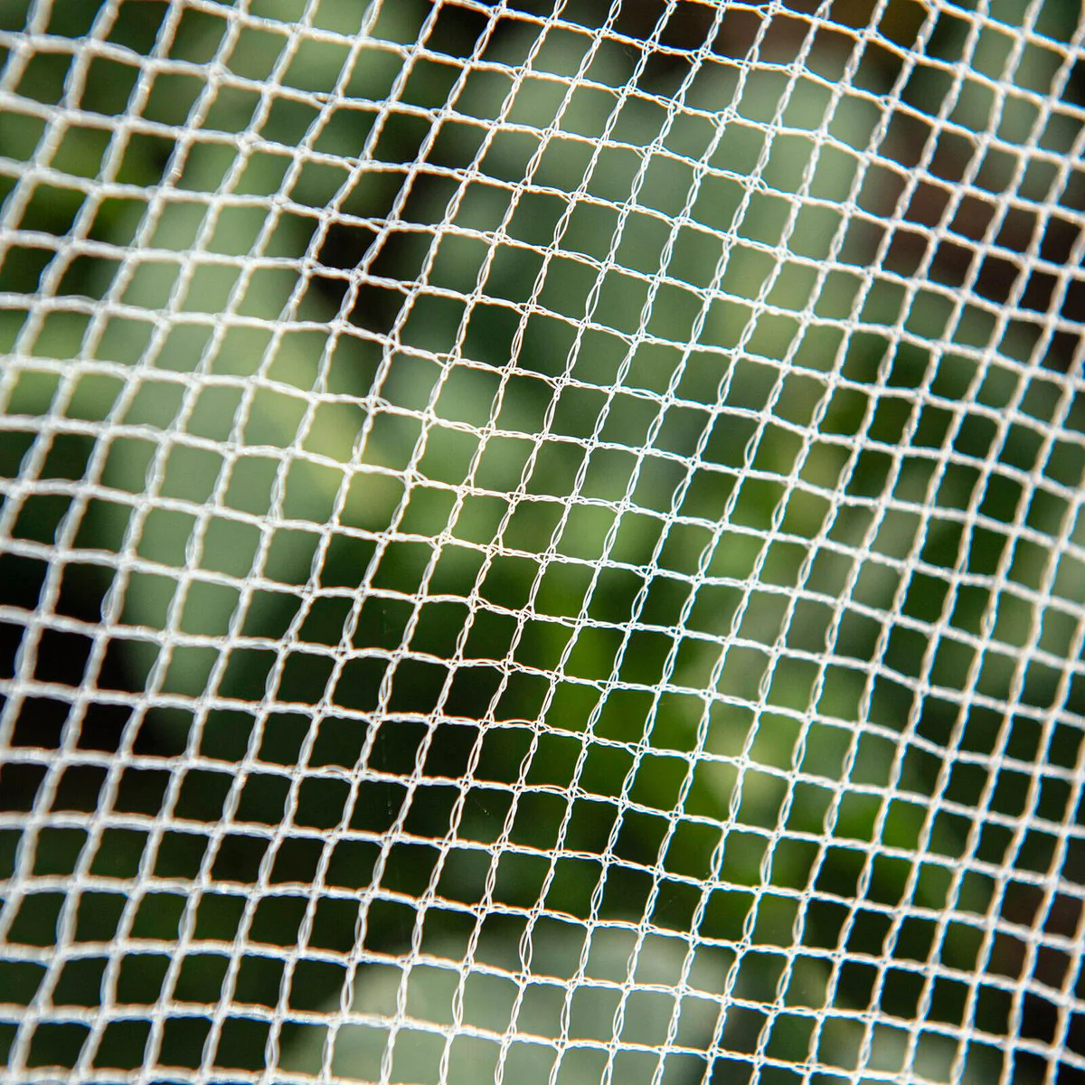 Backyard Farmer Anti Bird Net - 2.5m x 2.5m - White - UV-Resistant HDPE - Image 2
