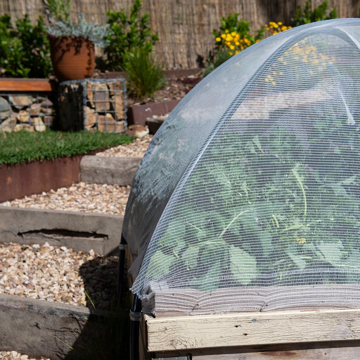 Backyard Farmer Anti Bird Net - 4 x 4m - 5mm - White - UV-Resistant - Image 2