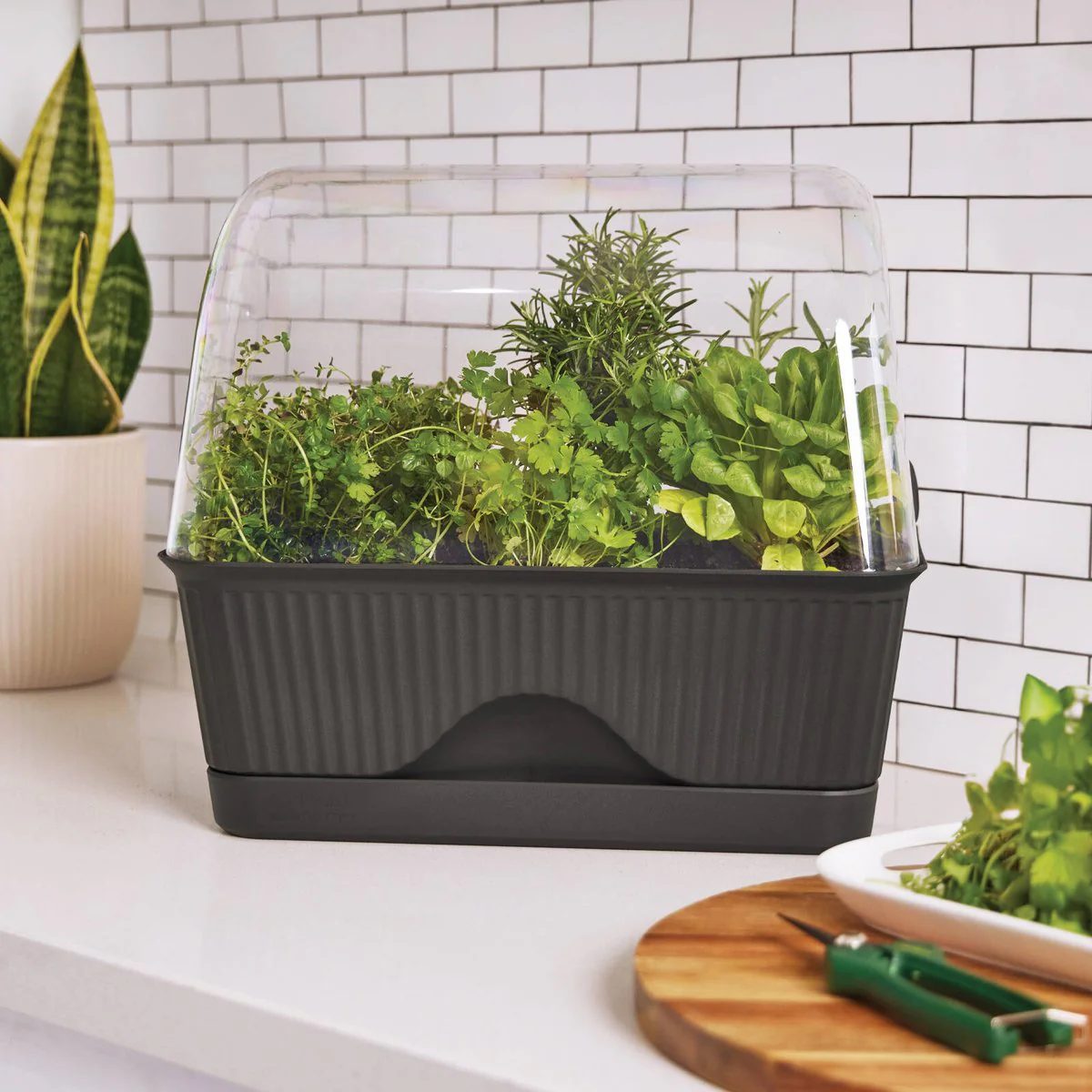 Backyard Farmer Grey Lula Mini Greenhouse - 392mm x 347mm x 239mm - Indoor/Outdoor Use - Image 2