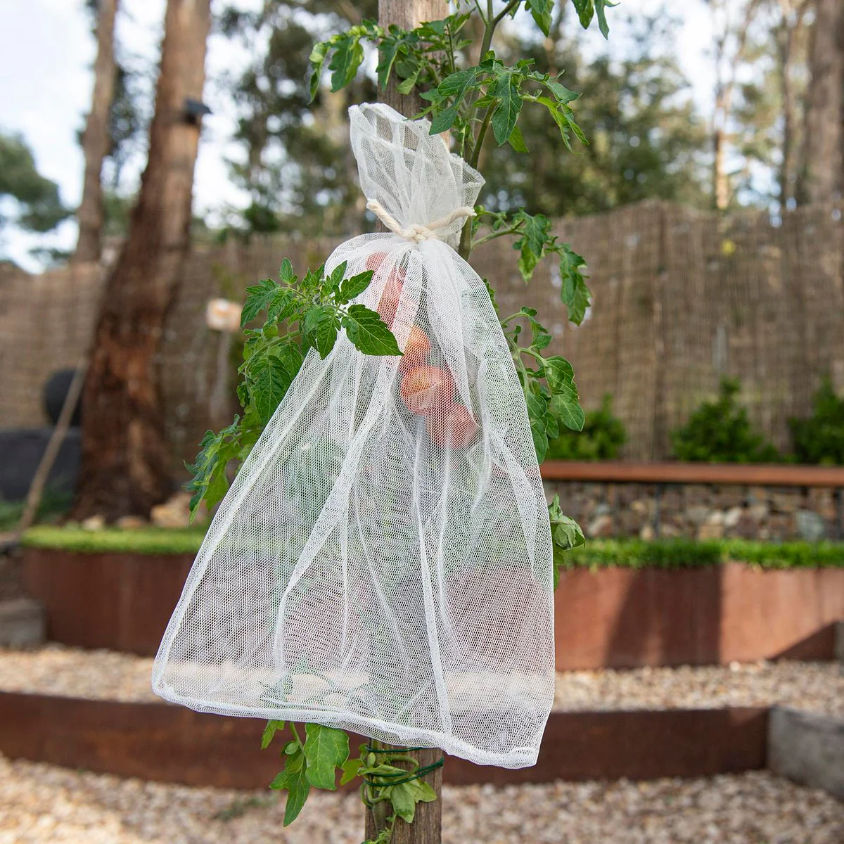Backyard Farmer Netting Sleeve 3 Pack - 25 x 43cm - UV-Resistant Protection - Image 2
