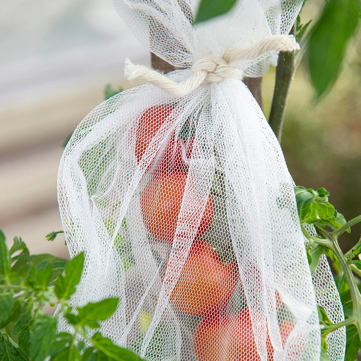 Backyard Farmer Netting Sleeve 3 Pack - 25 x 43cm - UV-Resistant Protection - Image 3