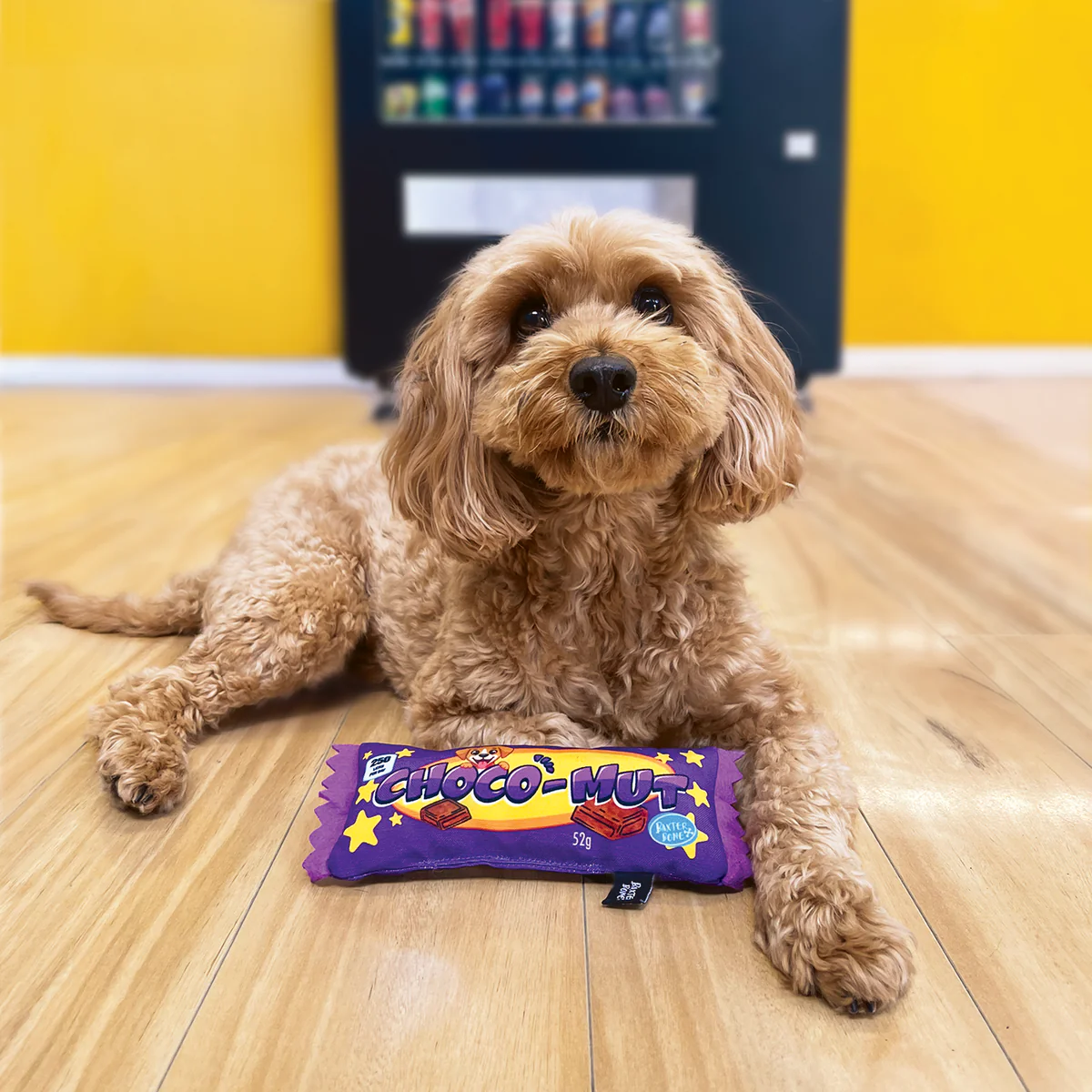 Baxter Bone Choco Mut Candy Bar Pet Toy - Plush Interactive Chew Toy 220mm - Image 4