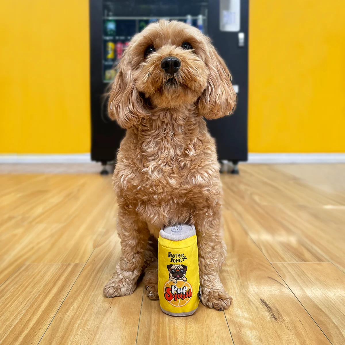 Baxter Bone Pup Squash Soda Can Pet Toy - Plush - 60mm x 140mm - Squeaker - Image 4