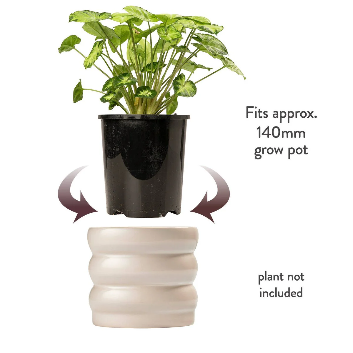 Borralheira Indoor Ceramic Pot - 180 x 155mm - Smooth Bone - Durable & Waterproof - Image 5
