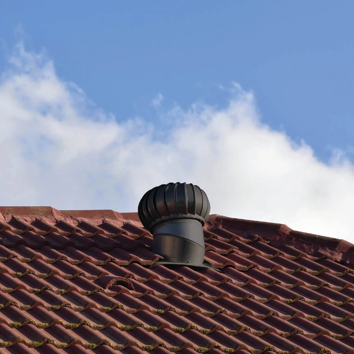 Brutus Roof Vent - 300mm - Aluminium - Black - Image 2