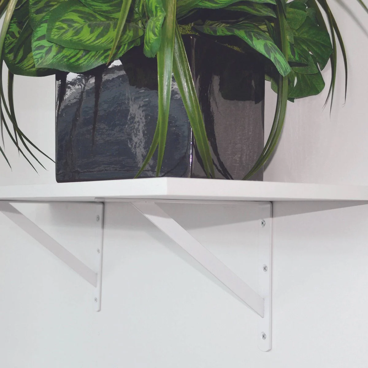 Carinya Light Stayed Bracket - 150 x 125mm - Powder Coated Steel - 100kg Load - Image 3