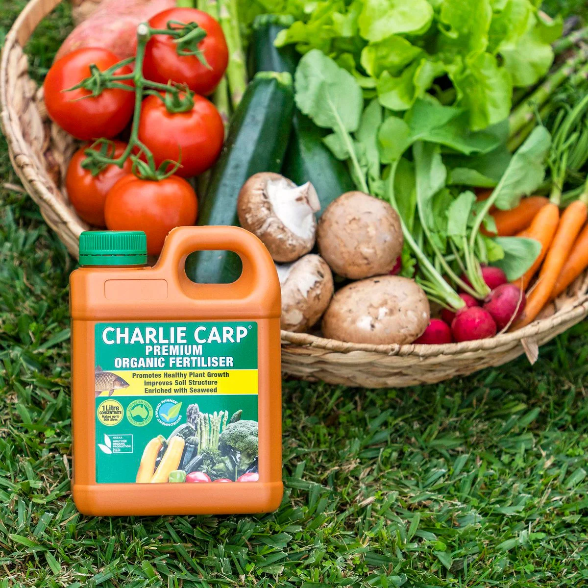 Charlie Carp Organic Fertiliser - 1L - Liquid - NASAA Certified - Image 3