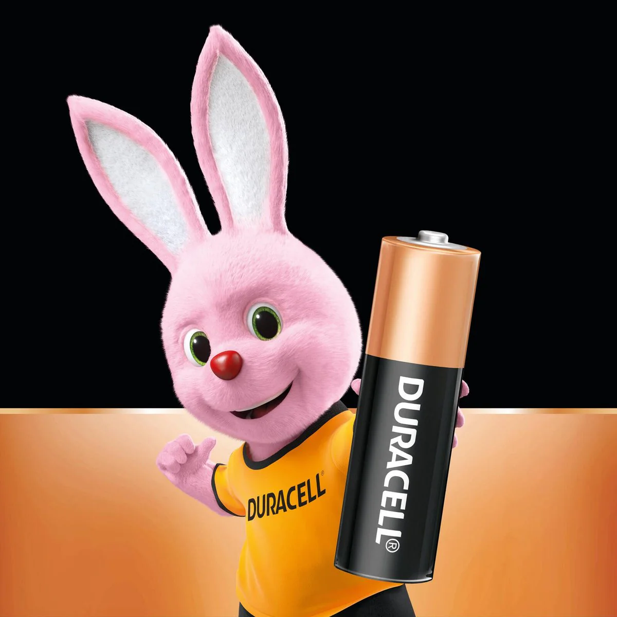 Duracell Coppertop AA - 48 Pack - Alkaline - Long Lasting Power - Image 3