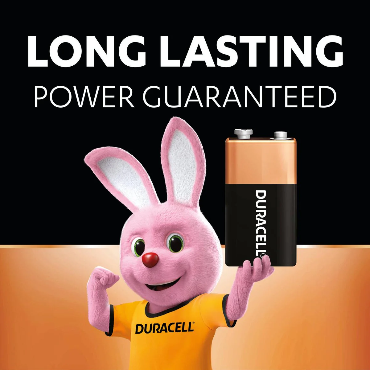 Duracell Coppertop Batteries - 9V - Alkaline - Long Lasting Power - Image 3