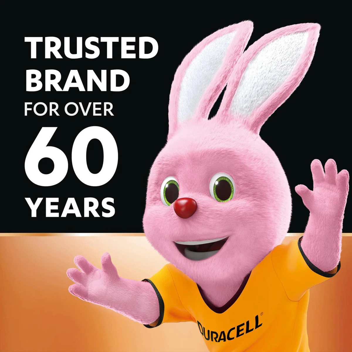 Duracell Everyday Alkaline AA Battery 20 Pack - Long-Lasting Power - Copper & Black - Image 3