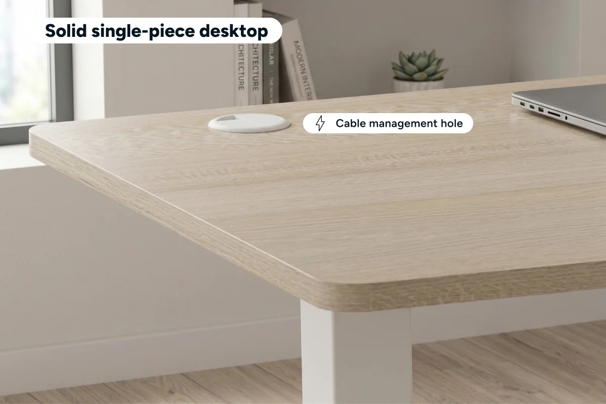 Ergolux Electric Standing Desk 90 x 60cm Oak White - Image 7