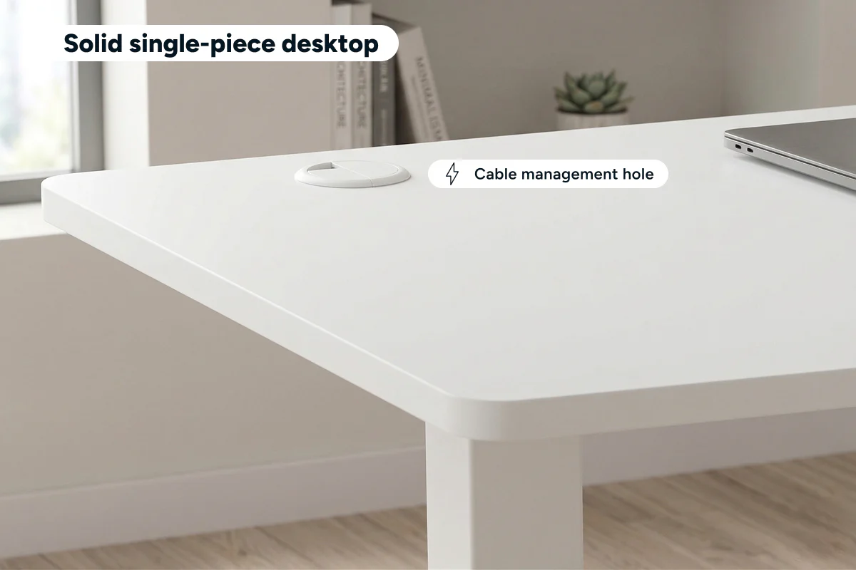 Ergolux Electric Standing Desk 90 x 60cm White White - Image 7