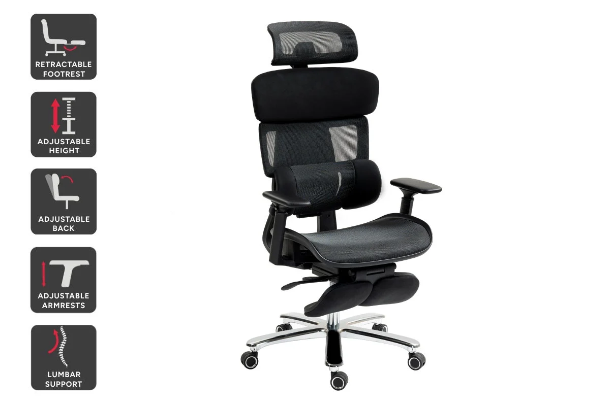Ergolux Pro Max Ergonomic Mesh Office Chair with Footrest Black