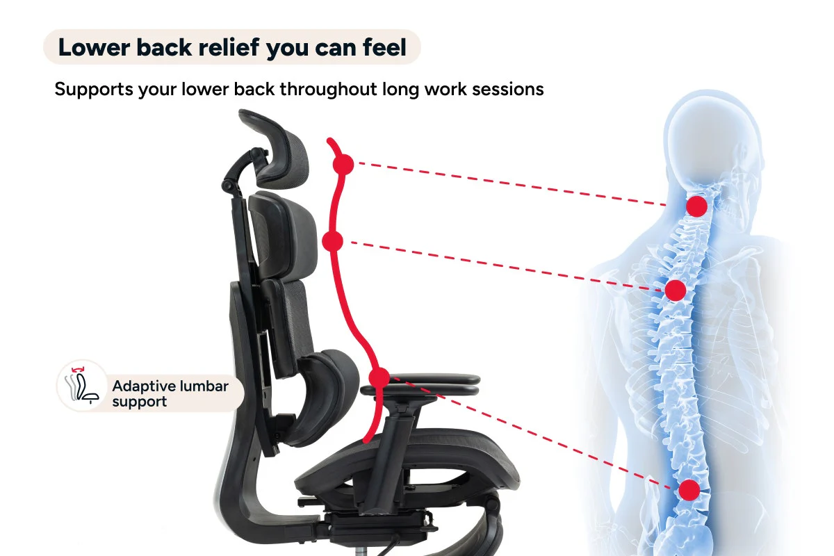 Ergolux Pro Max Ergonomic Mesh Office Chair with Footrest Black - Image 7