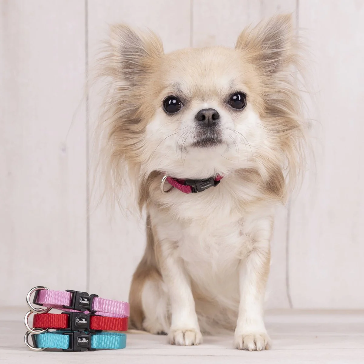 Flamingo Small Red Ziggi Dog Collar - Adjustable Nylon - 30-45CM - Durable - Image 4