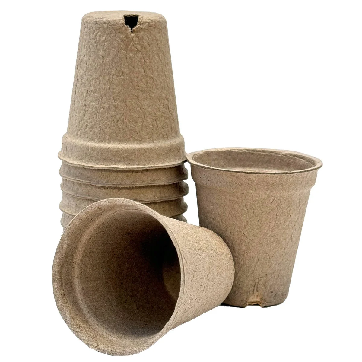 Garden Basics 55mm Paper Seedling Pots 90 Pack - Biodegradable - Air Pruning - Image 2