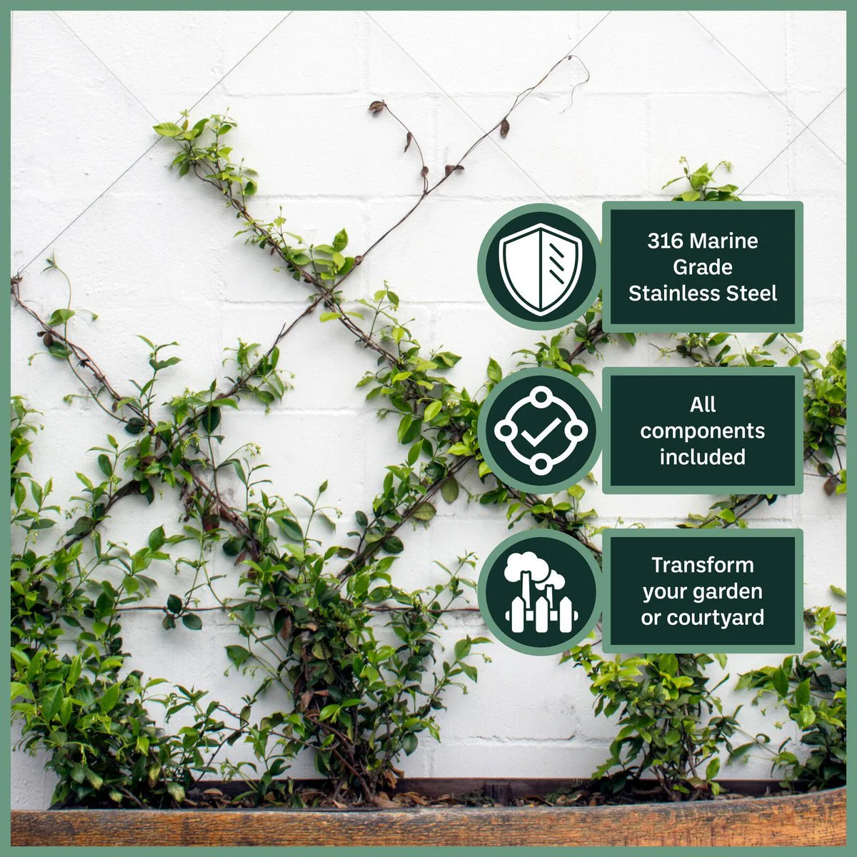Garden Zen 5m Tensioned Wire Wall Plant Trainer Kit - Stainless Steel - Durable Support - Image 4