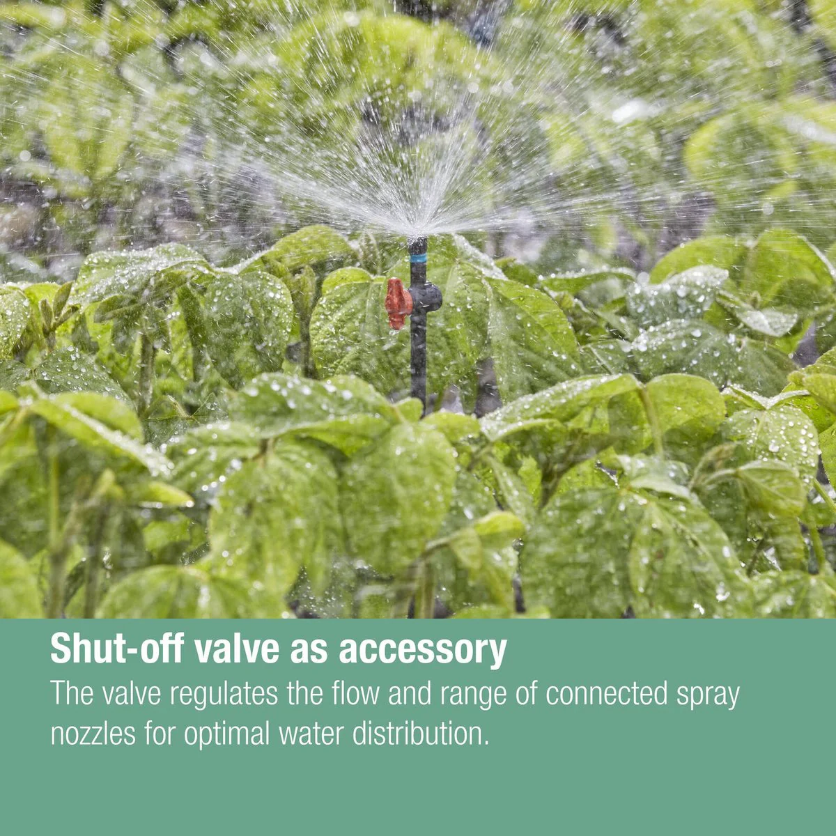Gardena Micro Irrigation Spray Nozzle 360° - 5 Pack - 3m Range - Black/Turquoise - Image 5