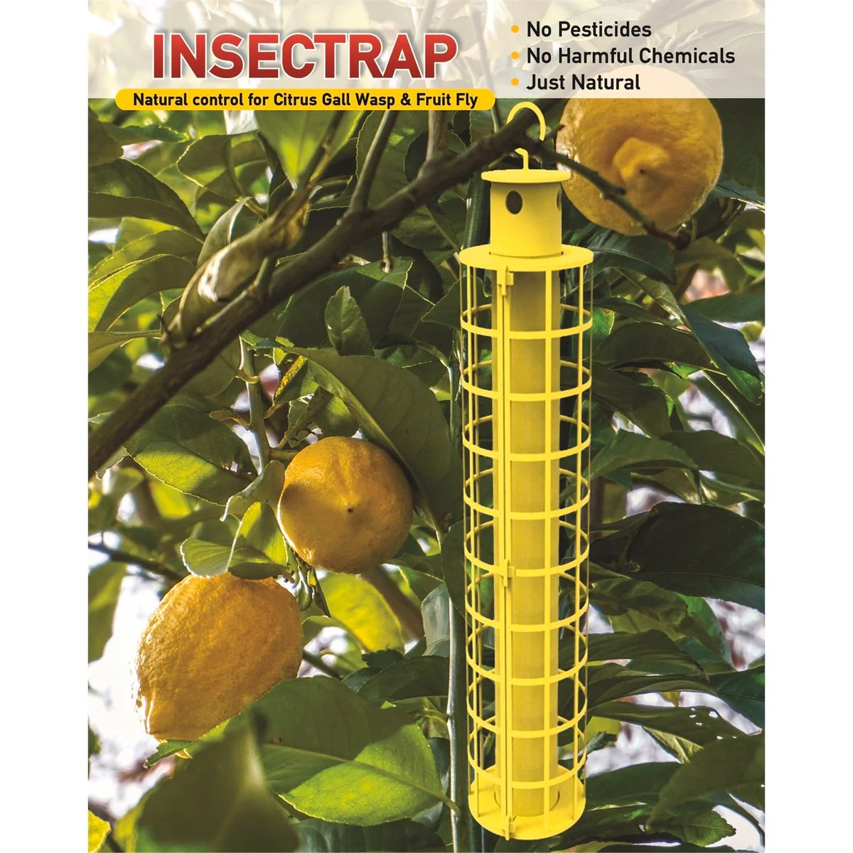 Go Natural Insect Trap - 270mm - Non-Toxic - Pest Control - Image 2