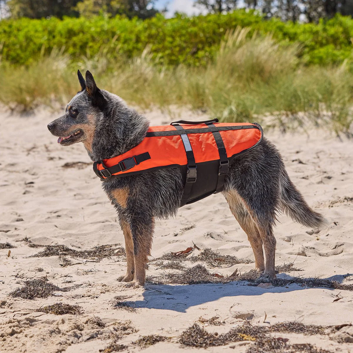 Happy Tails Small Floating Pet Vest - 200mm x 250mm - Water Safety for Small Dogs - Image 4