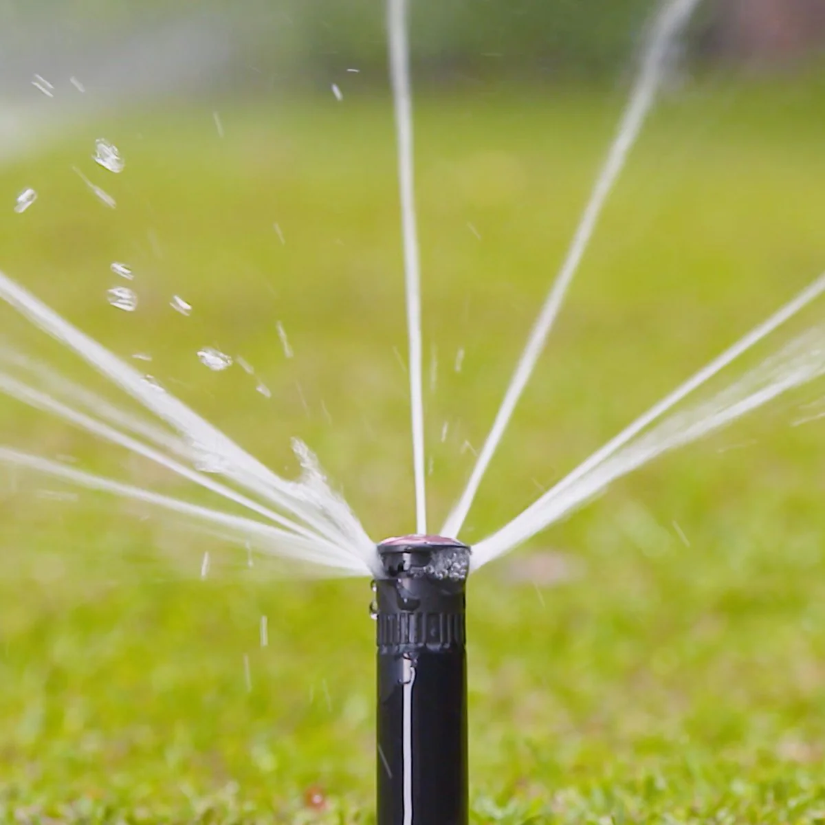 Holman 50mm Longstream Rotating Pop Up Sprinkler - 1/2 Circle - Black/Red - Image 4