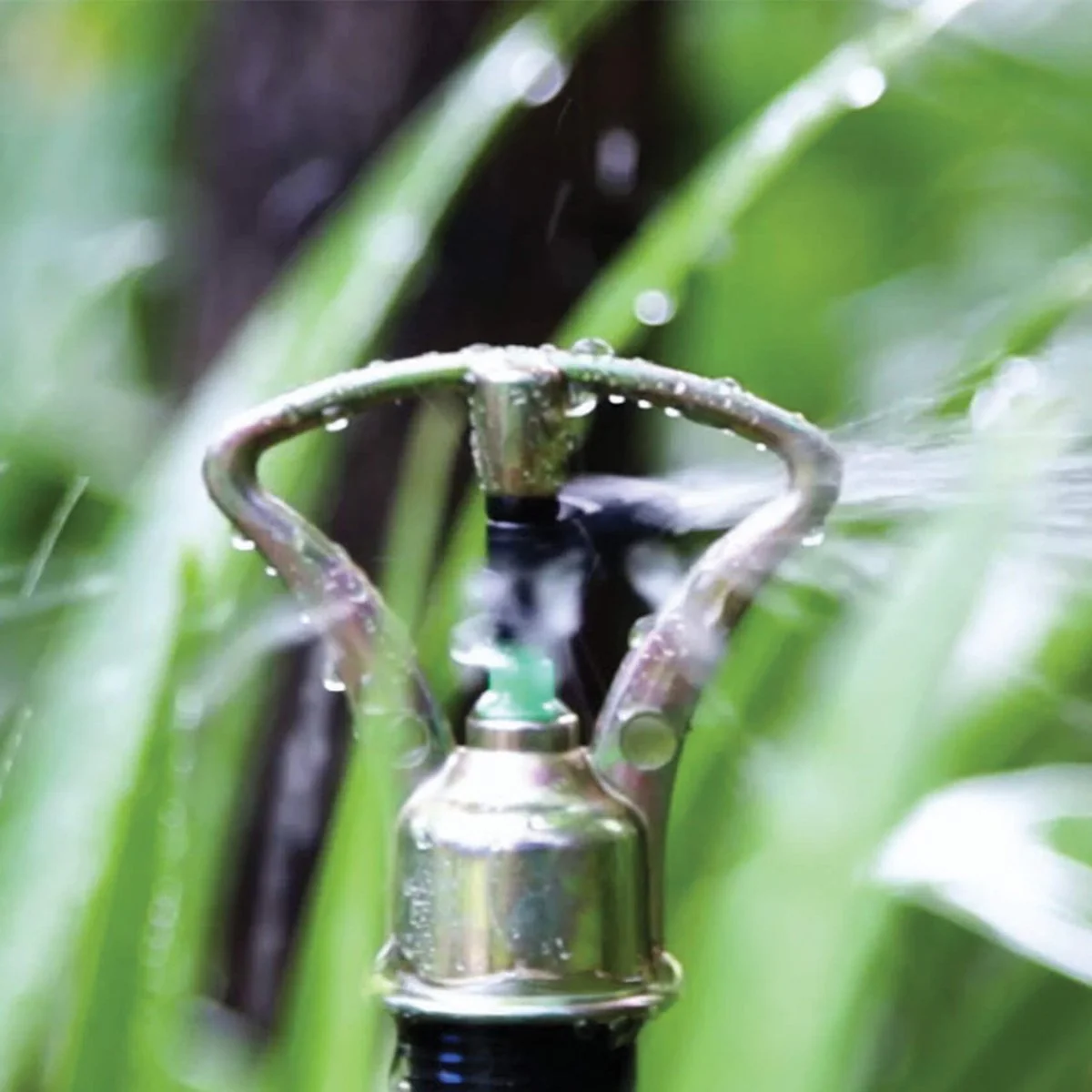 Holman Brass Butterfly Sprinkler - 4-6m - Brass - Full Circle Coverage - Image 4