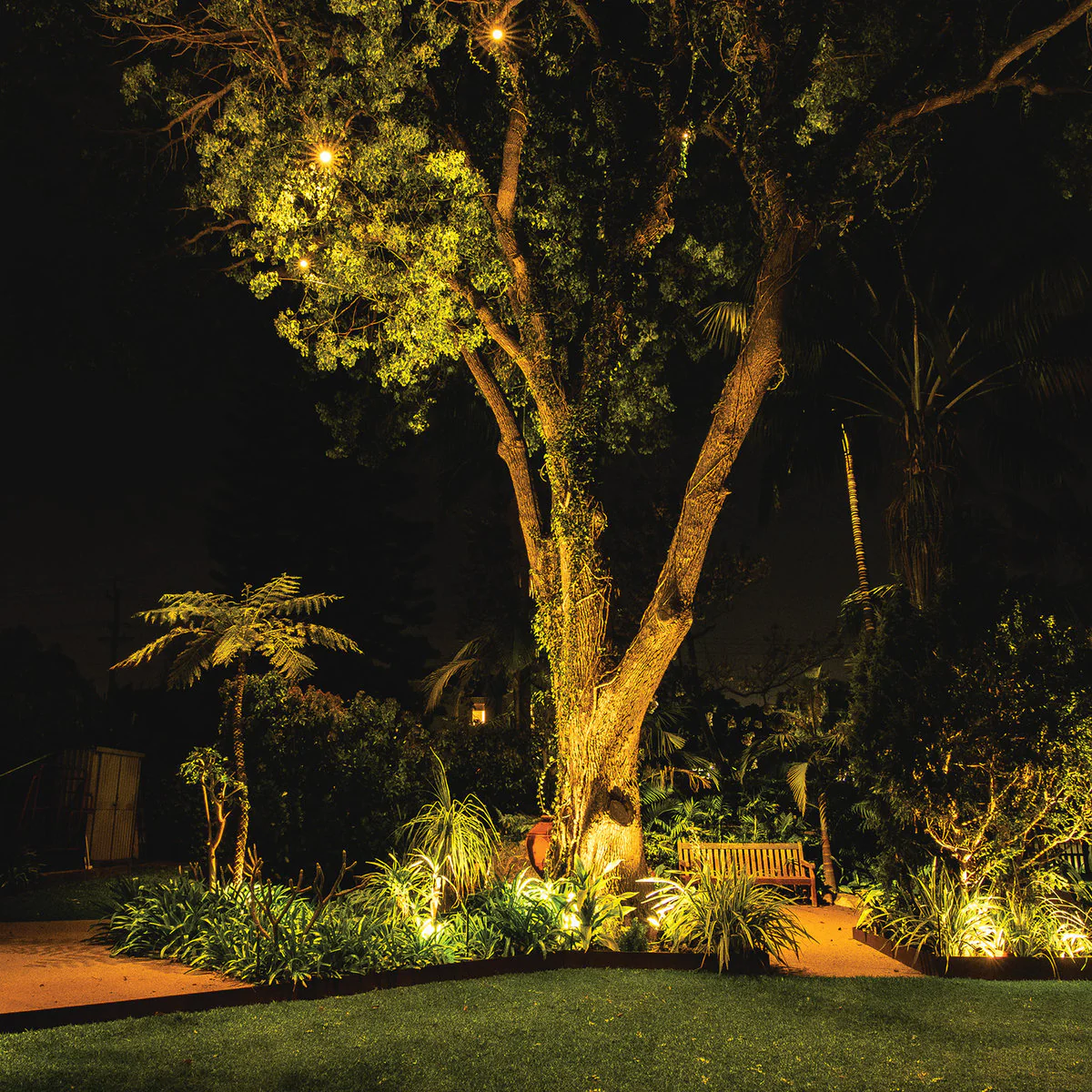 Holman Hanging Tree Light Value Pack - 6 Lights - 5m Cable - Warm White - IP67 Waterproof - Image 3