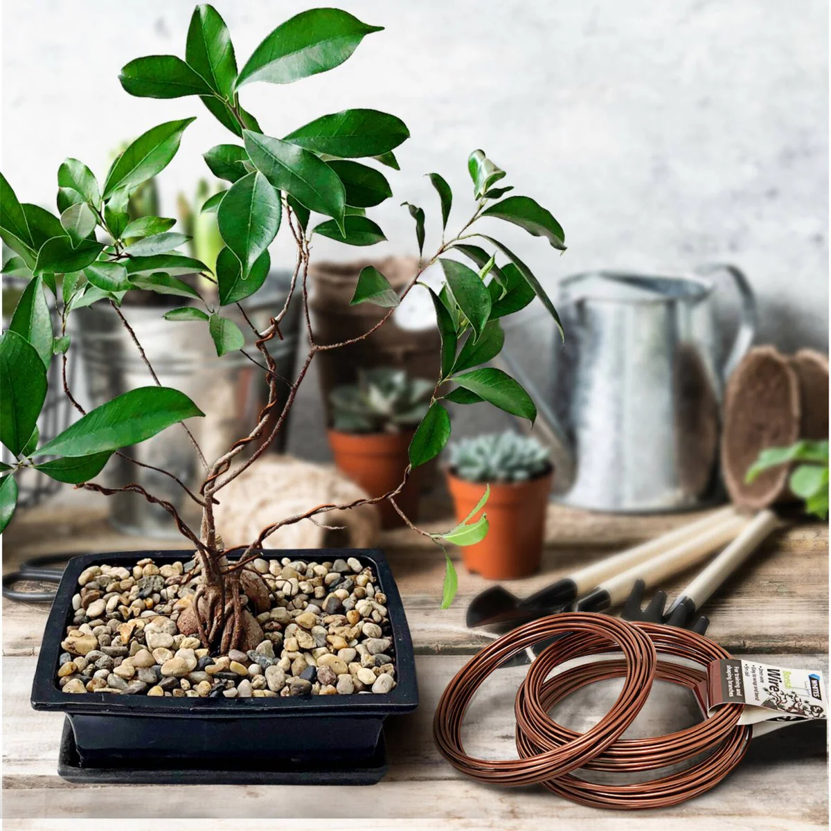 Jack Bonsai Wire 3 Pack - 1.5mm, 2mm, 4mm - Flexible Branch Training - Image 5