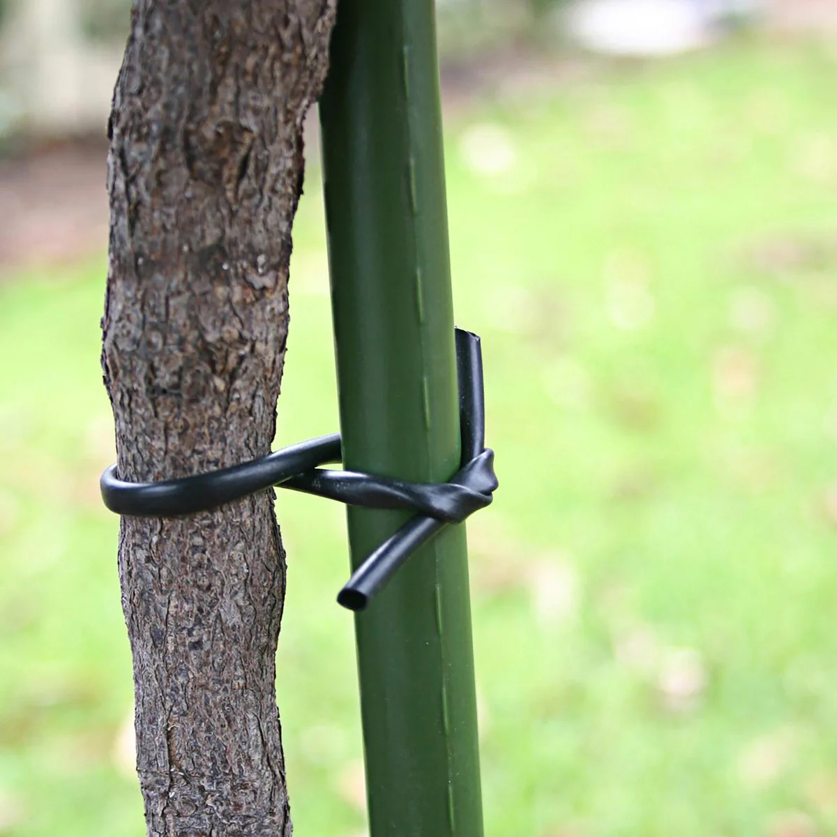 Jack Soft Lace Tie - 3mm x 50m - Plastic - Soft on Plants - Image 2
