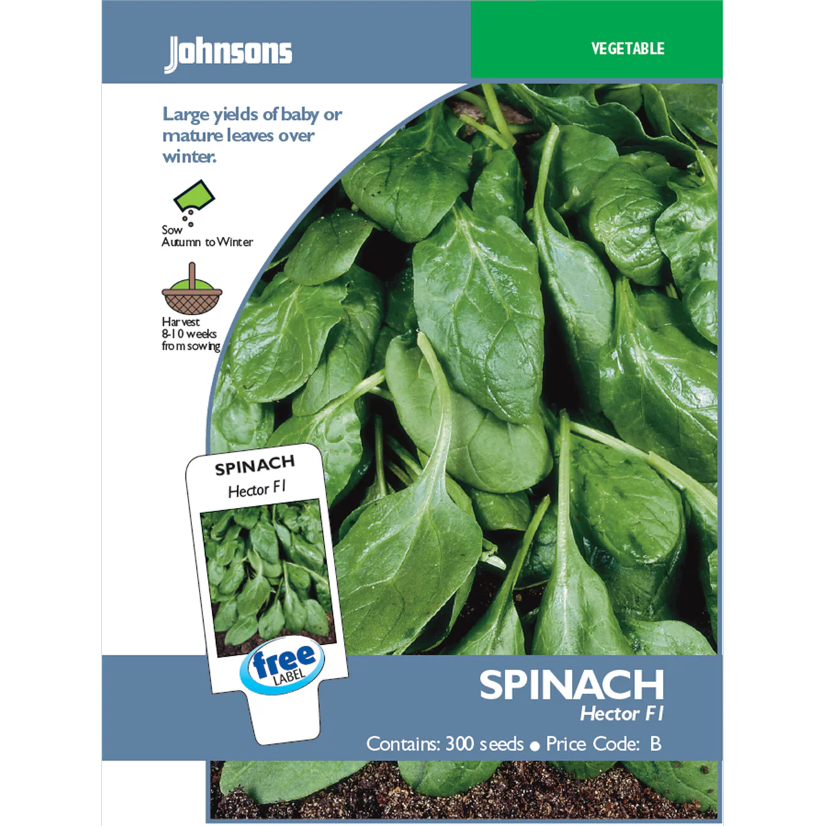 Johnsons Spinach Seeds - 10 Weeks - Seeds - Baby Leaf Production