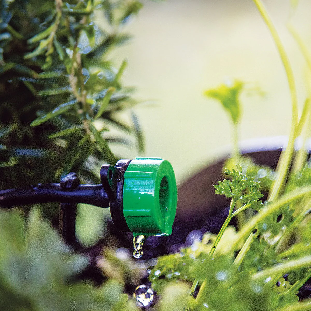 K Rain 4mm Adjustable Dripper 10 Pack - 4L/hr - Green - KADJD - Image 4