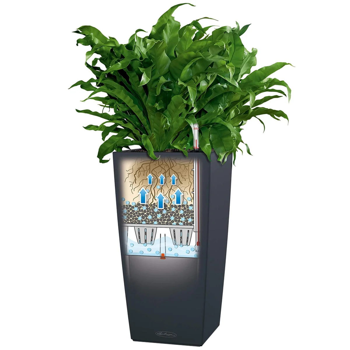 Lechuza Cubico Colour 30 Self-Watering Planter White Plastic 30x30x56cm - Image 3