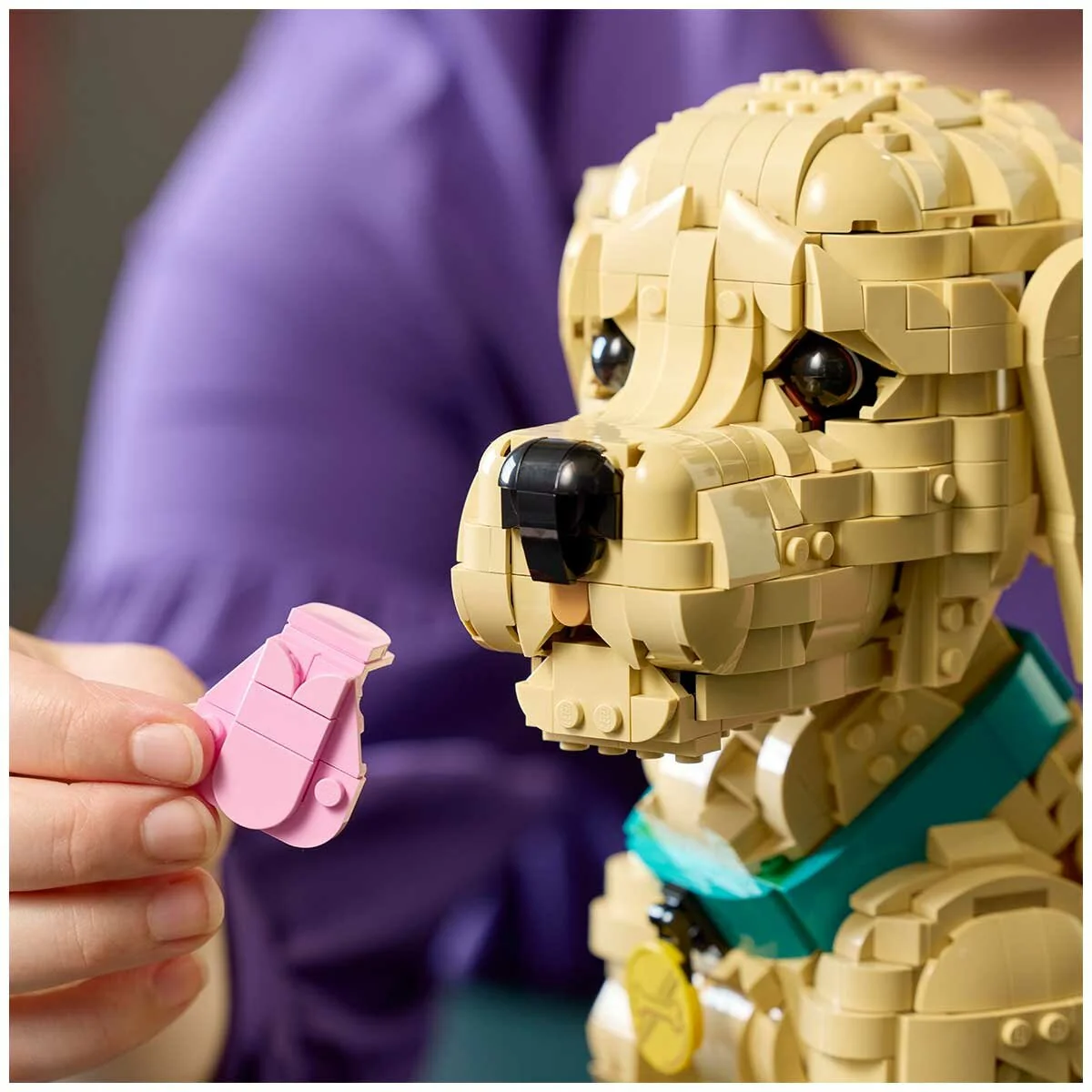 LEGO Icons Golden Retriever Puppy 11384 Adult Building Kit - Image 6