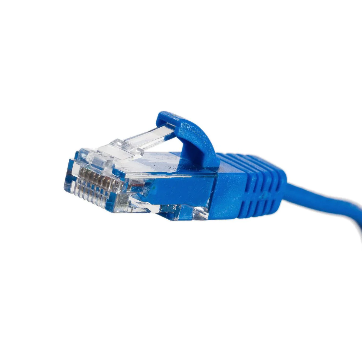 Legrand 2m Cat 6 RJ45 UTP Slimline Patch Lead - Blue - High-Speed Transmission - Image 2