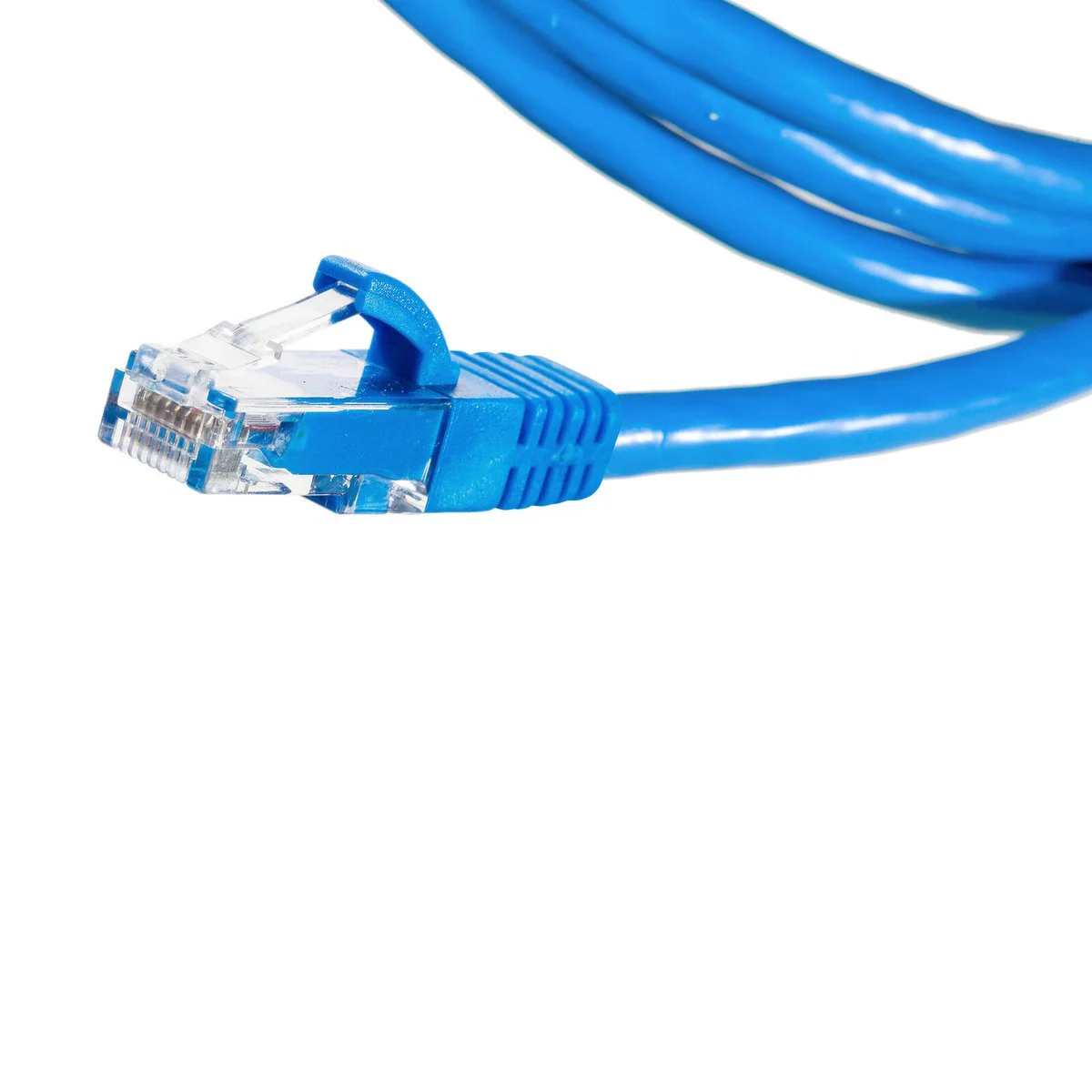 Legrand 2m Cat6 RJ45 UTP Patch Lead - Blue - High-Speed Network Cable - Image 2