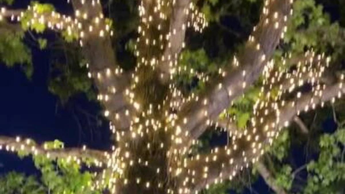 Lytworx 240 Connectable Heavy Duty Fairy Lights 23.9m Warm White - Image 4