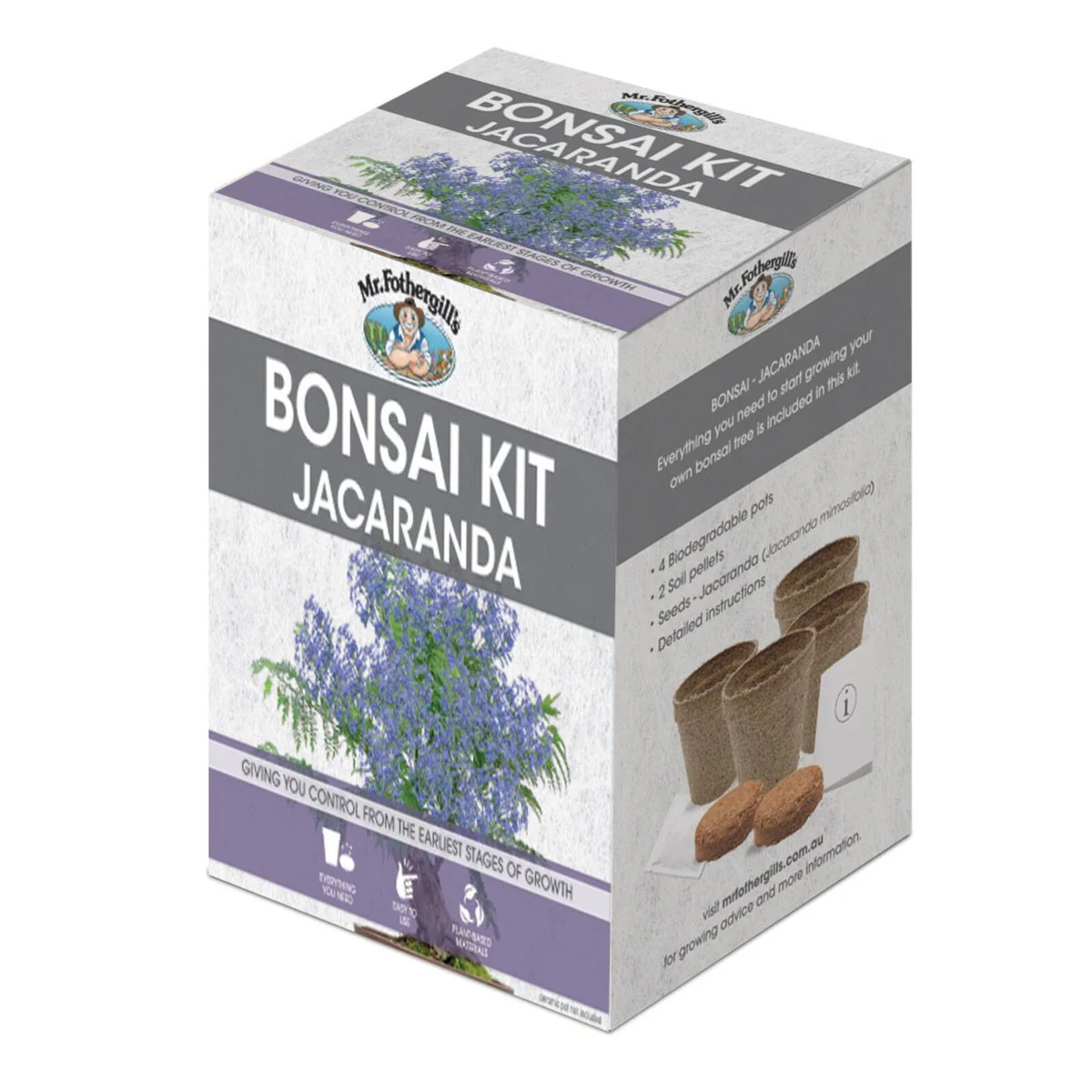 Mr Fothergill Jacaranda Bonsai Kit - 4 Pots - 90mm x 130mm x 90mm