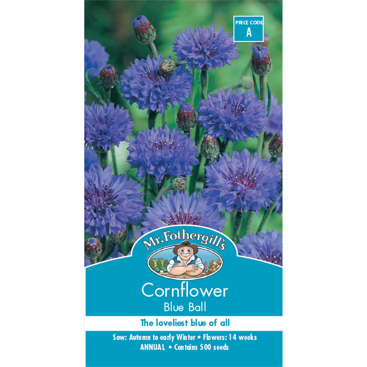 Mr Fothergill Cornflower Blue Flower Seeds - 75cm - Hardy Annual - Cut Flower