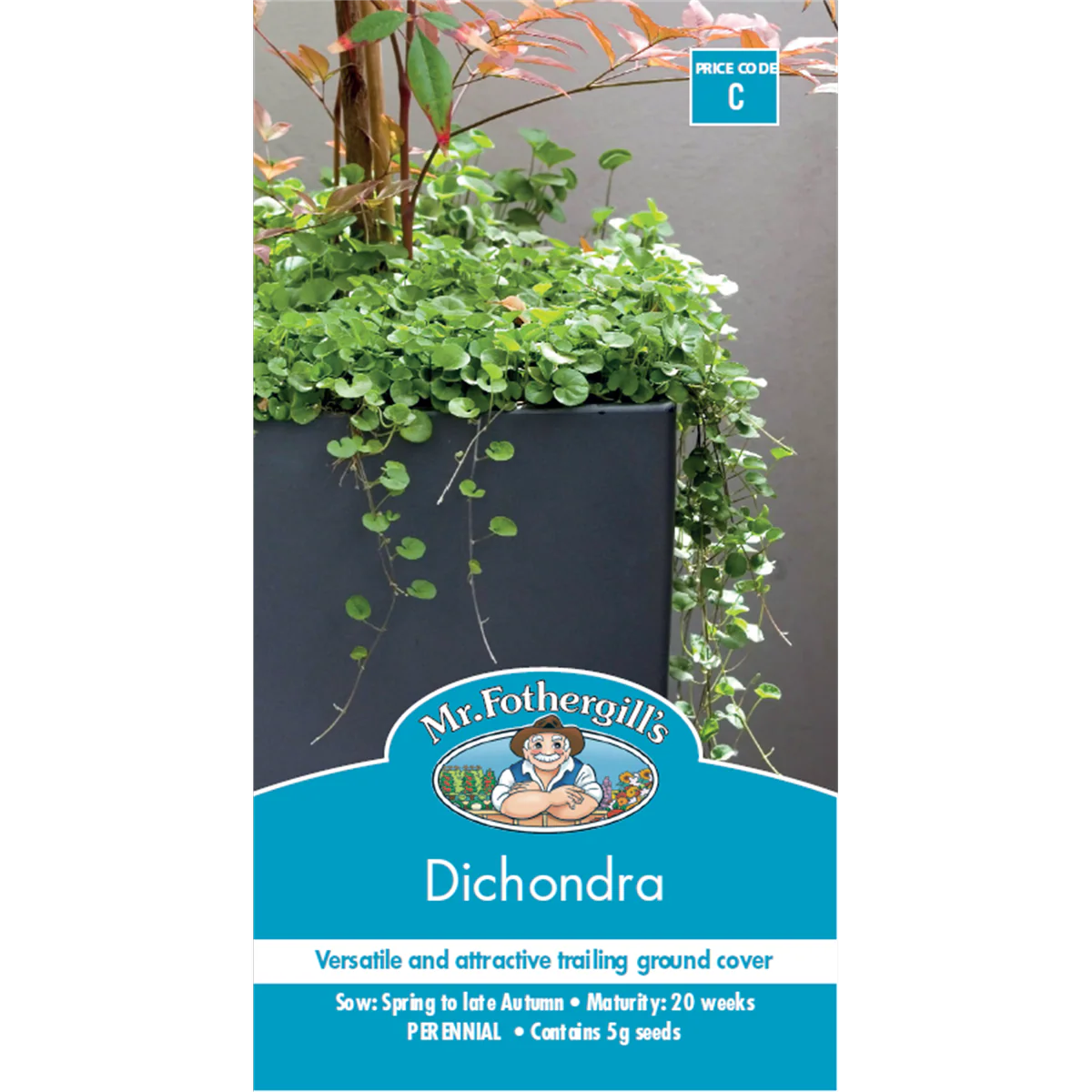 Mr Fothergill Dichondra Seeds 75mm Low Maintenance Ground Cover