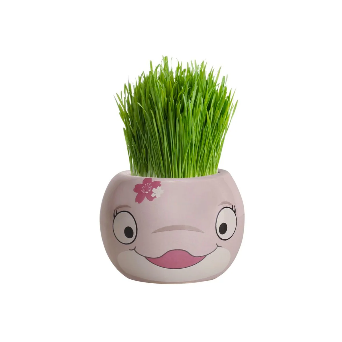 Mr Fothergill Grass Hair Bee Grow Kit - 4 Animal Shapes - 60mm x 47mm x 60mm - Image 2