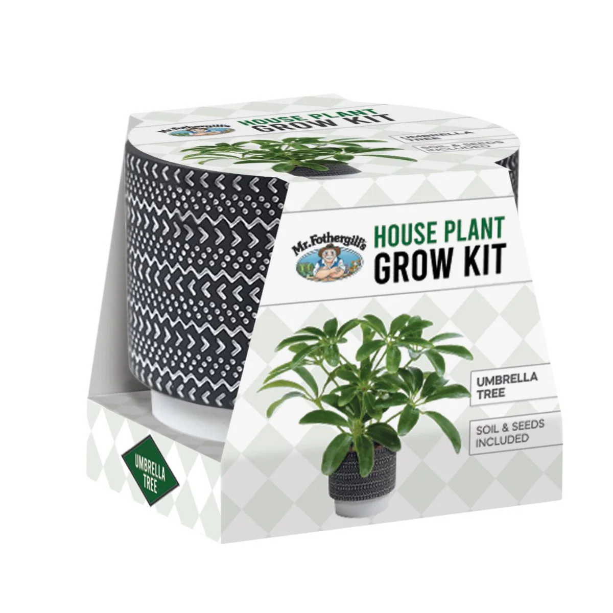 Mr Fothergill House Plant Grow Kit - Umbrella Tree - 100mm Terracotta Pot - Indoor Gardening