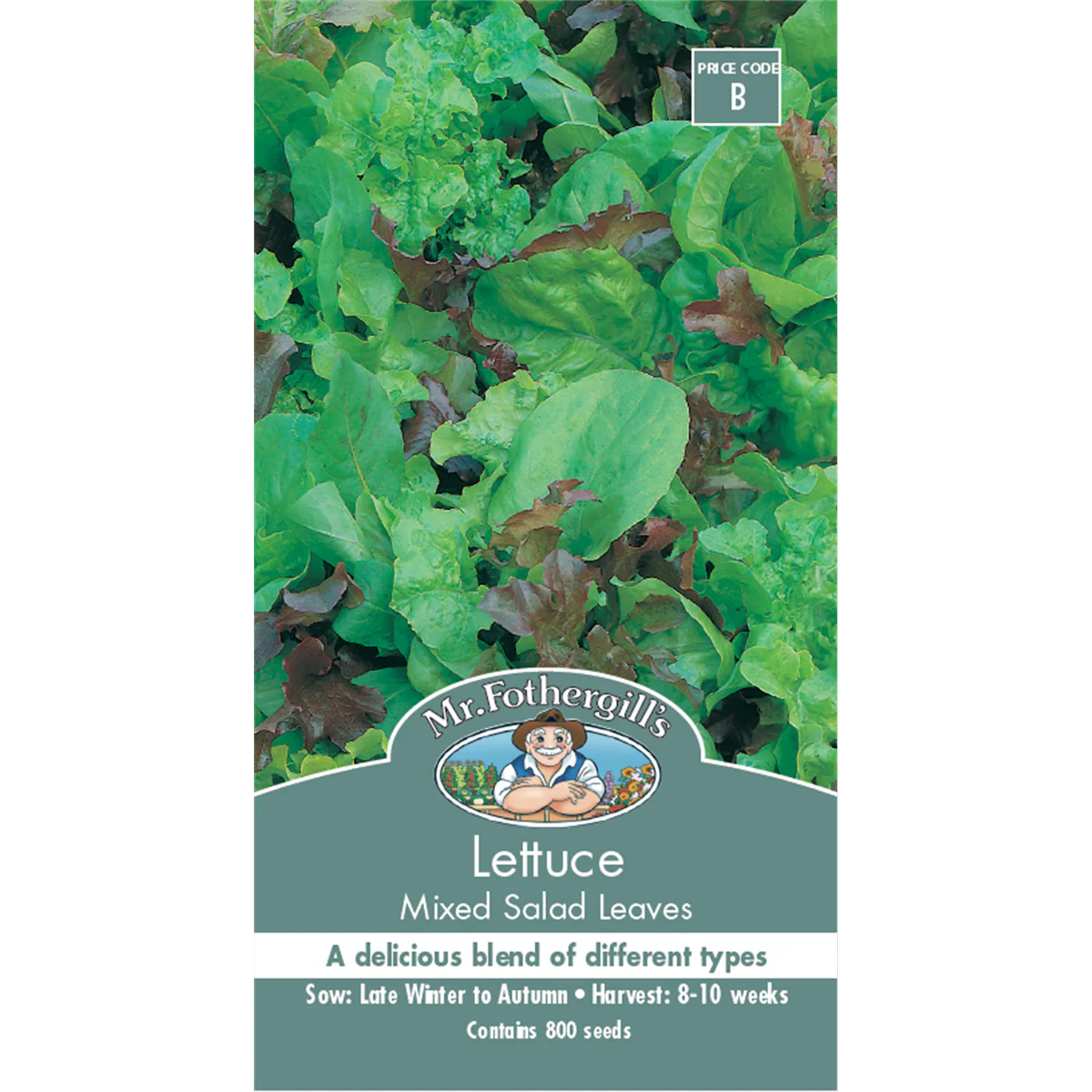 Mr Fothergill Lettuce Mixed Salad Leaves Seeds 75mm Green Healthy