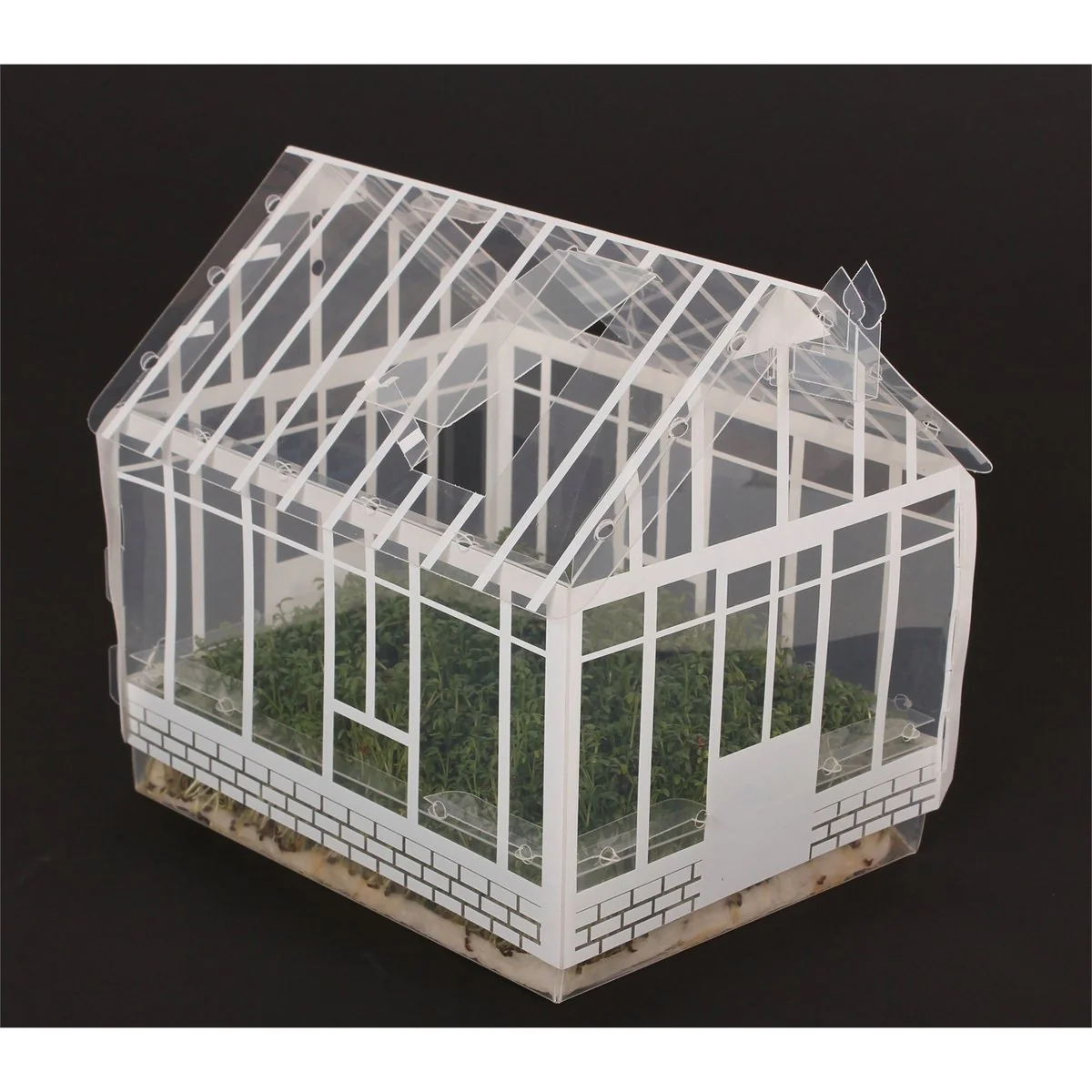 Mr Fothergill Mini Greenhouse Kit - 165mm x 210mm - Plastic - Kids Gardening - Image 3