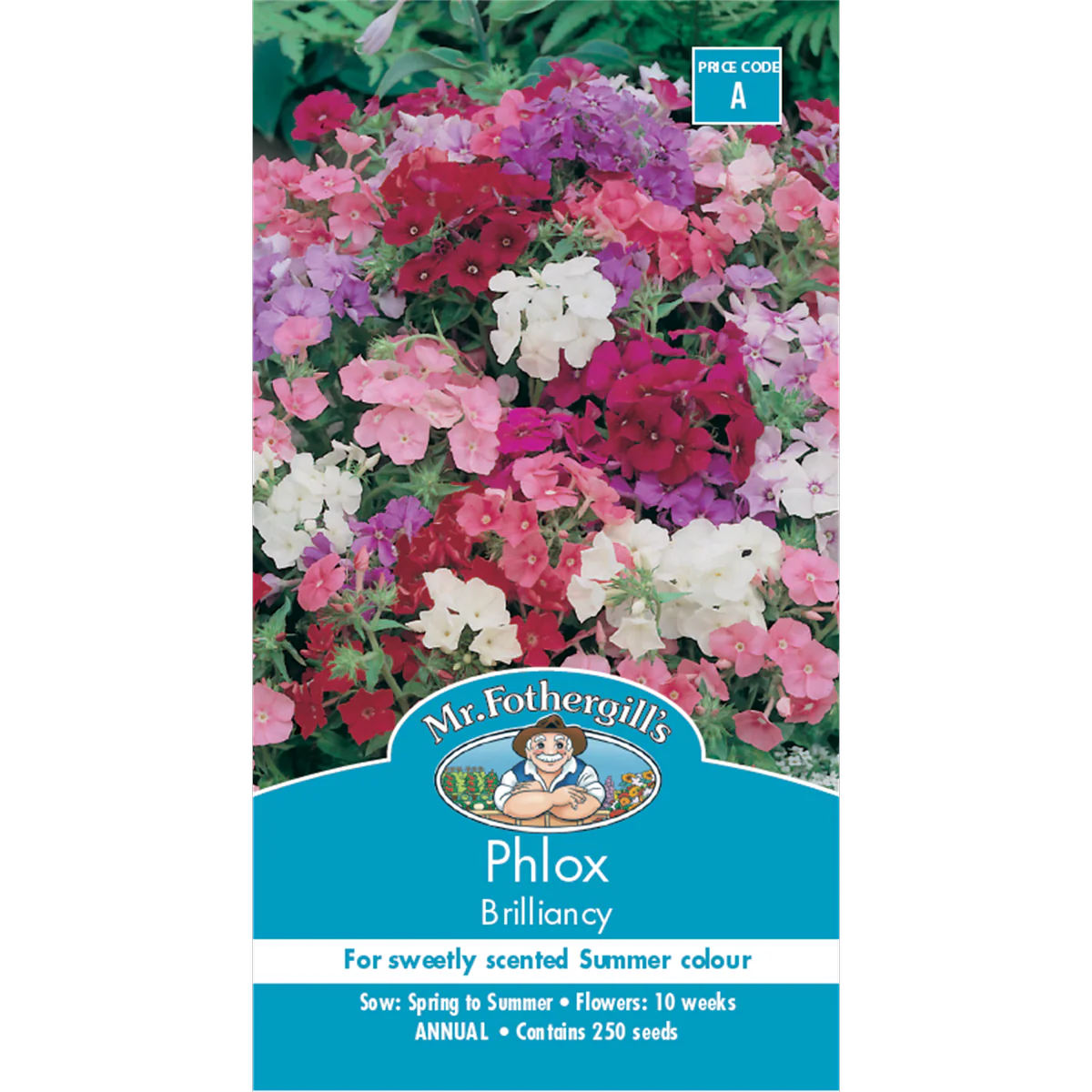 Mr Fothergill Phlox Brilliancy Flower Seeds 10 Weeks Annual Colorful