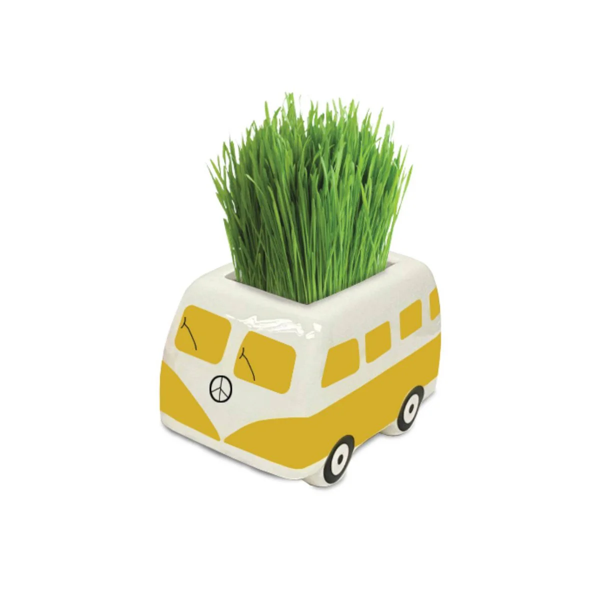 Mr Fothergill S Minivan Grow Kit - Yellow - 1 Pack - 80mm x 50mm x 45mm - Fast-Sprouting Plant for Kids - Image 2
